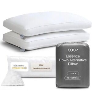 Coop Home Goods Essence Down Alternative Pillow Set of 2, Queen Size.